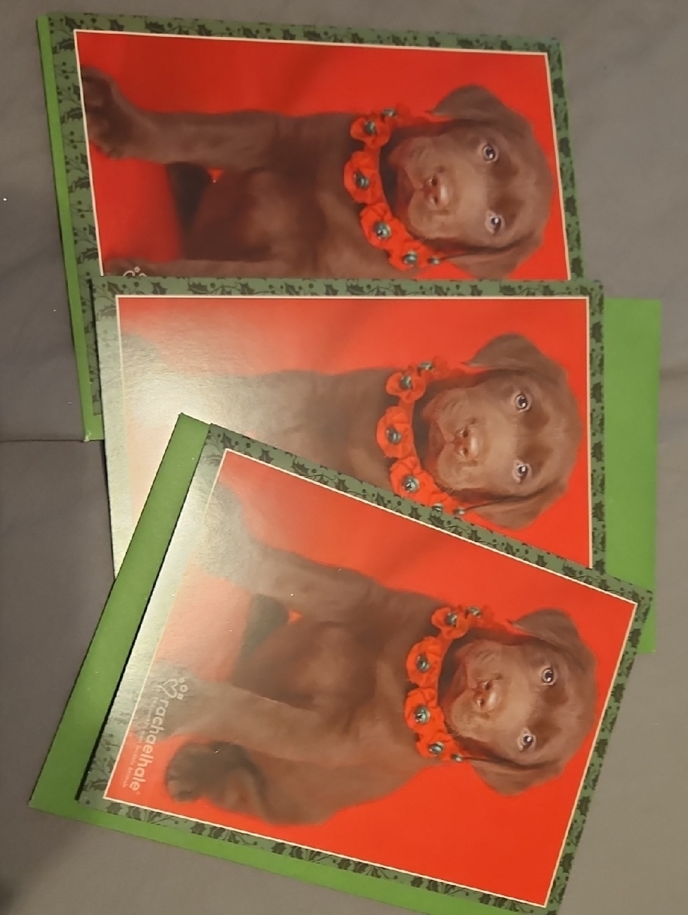 Set Of 3 Chocolate Puppy Christmas Cards with Red Background